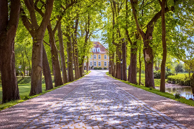 Die Allee zum Haupthaus
