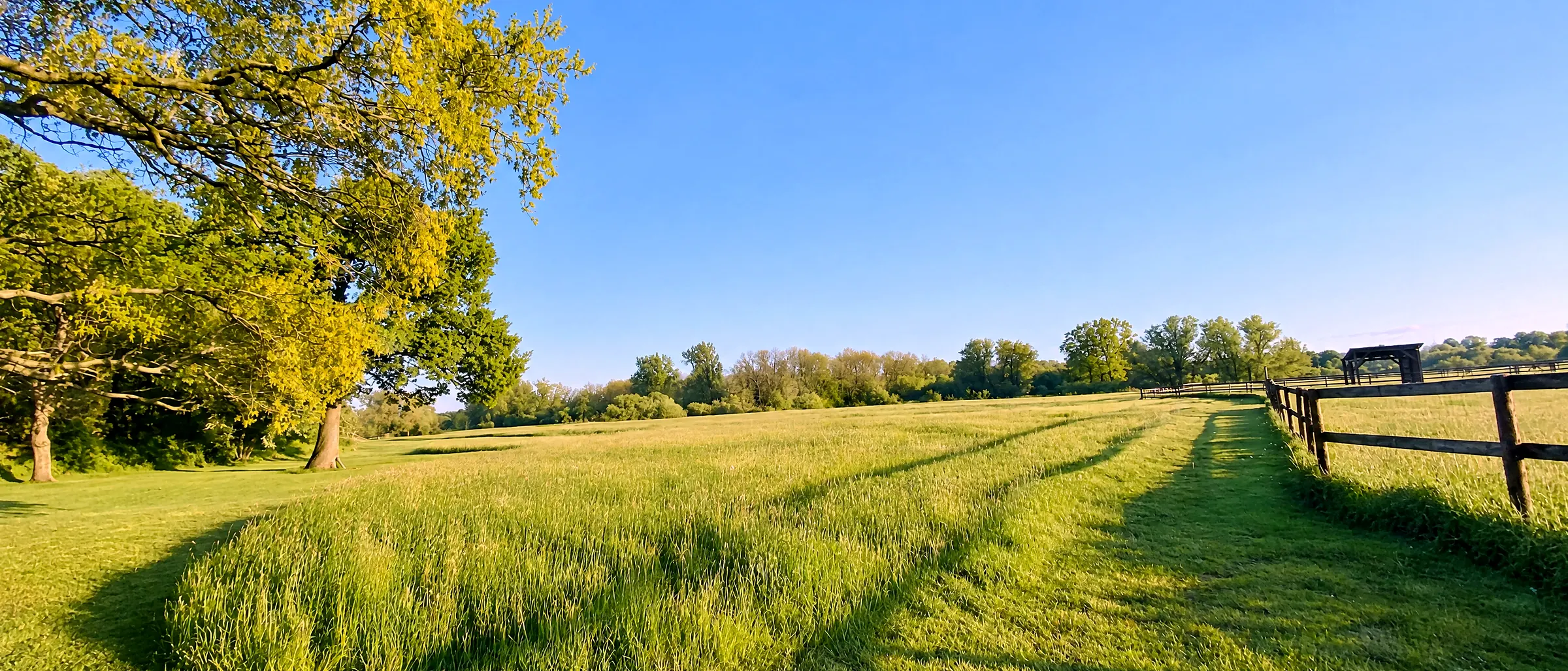 Die weite gemaehte Wiese im Schlosspark, im Hintergrund die Koppel und eine Baumreihe